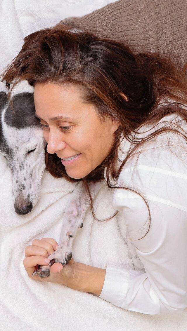 💛 Está galga es adoptada. Llegó con miedo, con esa mirada que ha visto demasiado.
Pero en el estudio… algo cambió.
Poco a poco, bajó la guardia. Se dejó acariciar, posar, y hasta se quedó dormida.

📸 Porque aquí no solo se hacen fotos.
Aquí se respira calma, se respeta el ritmo… y hasta los corazones más asustados encuentran un lugar seguro. #PetPhotography
#GalgosEspaña
#AdoptDontShop
#RescueDog
#DogPortrait
#FotografíaDeMascotas
#GreyhoundLove
#DogsOfInstagram
#AdoptaNoCompres
#GalgosRescue
#PetLovers
#SecondChanceDog
#DogLovers
#DogLife
#GalgosDelCorazon